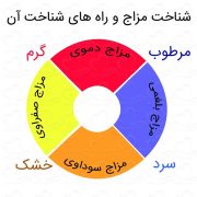مزاج شناسی